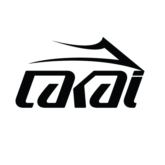 Lakai The Flare
